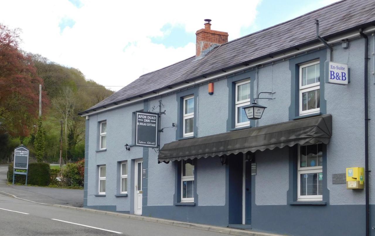 Afon Duad Inn Cwm-Duad Eksteriør bilde
